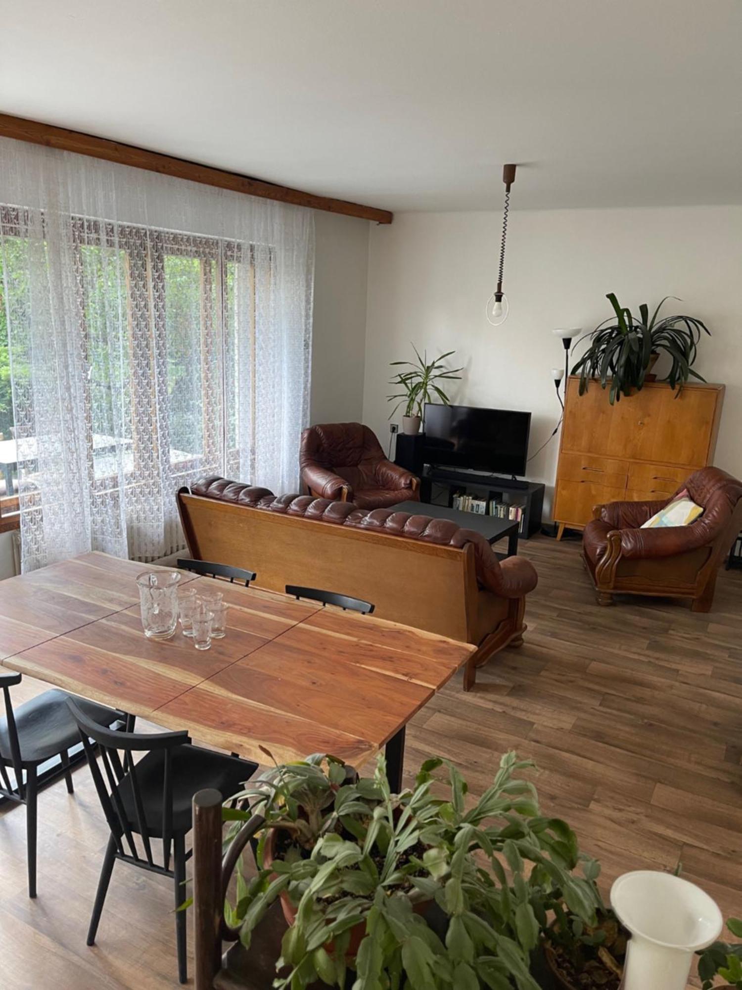 Apartment S Terasou Lysa ลิซา นาด ลาเบม ภายนอก รูปภาพ