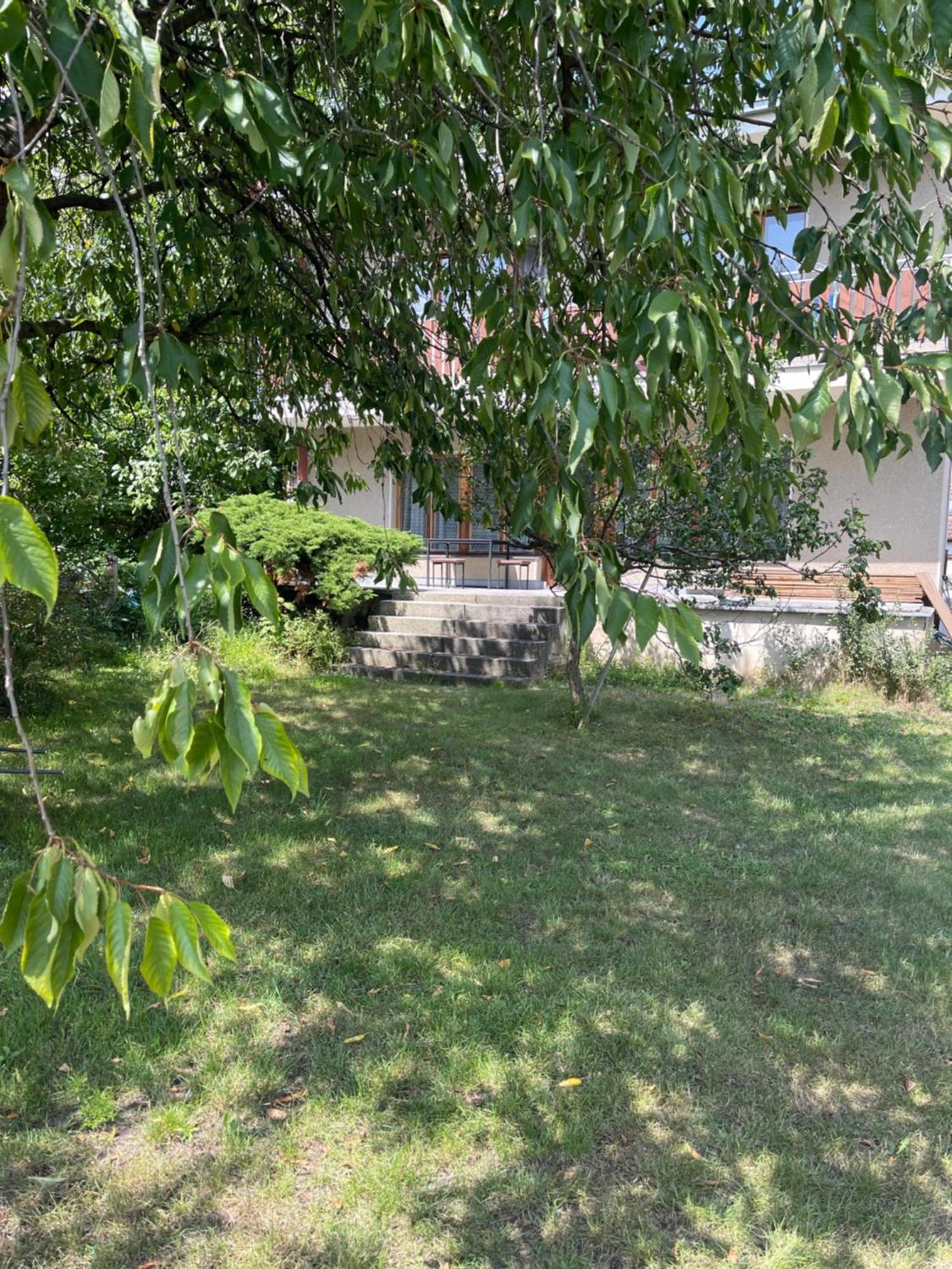 Apartment S Terasou Lysa ลิซา นาด ลาเบม ภายนอก รูปภาพ