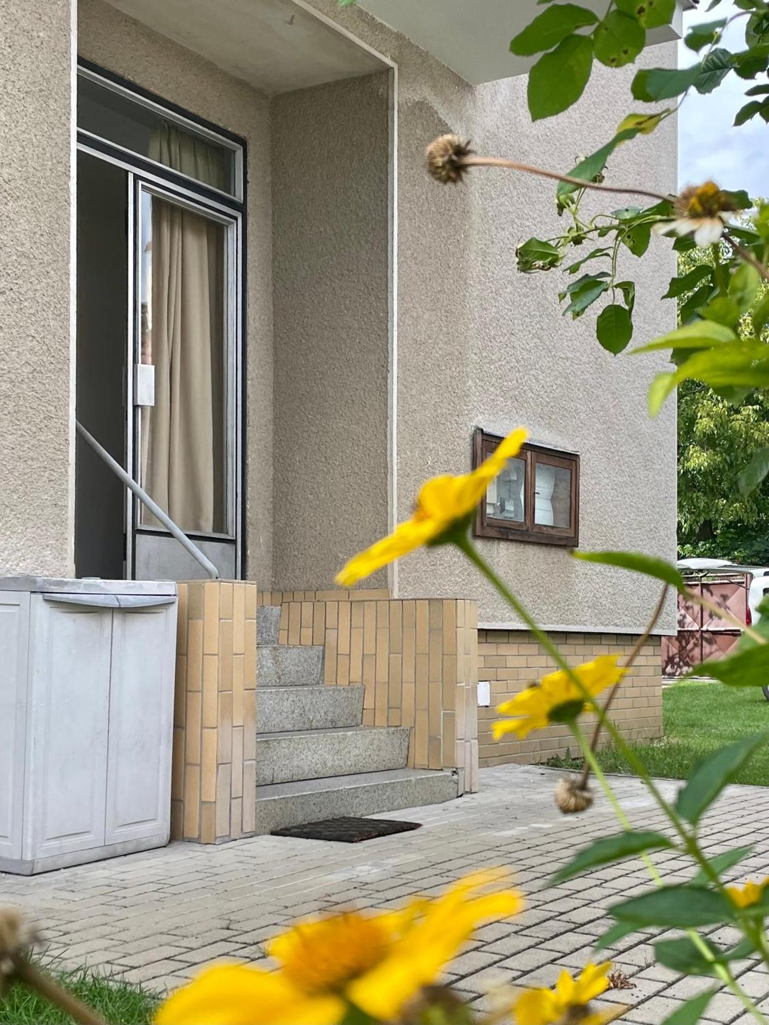 Apartment S Terasou Lysa ลิซา นาด ลาเบม ภายนอก รูปภาพ