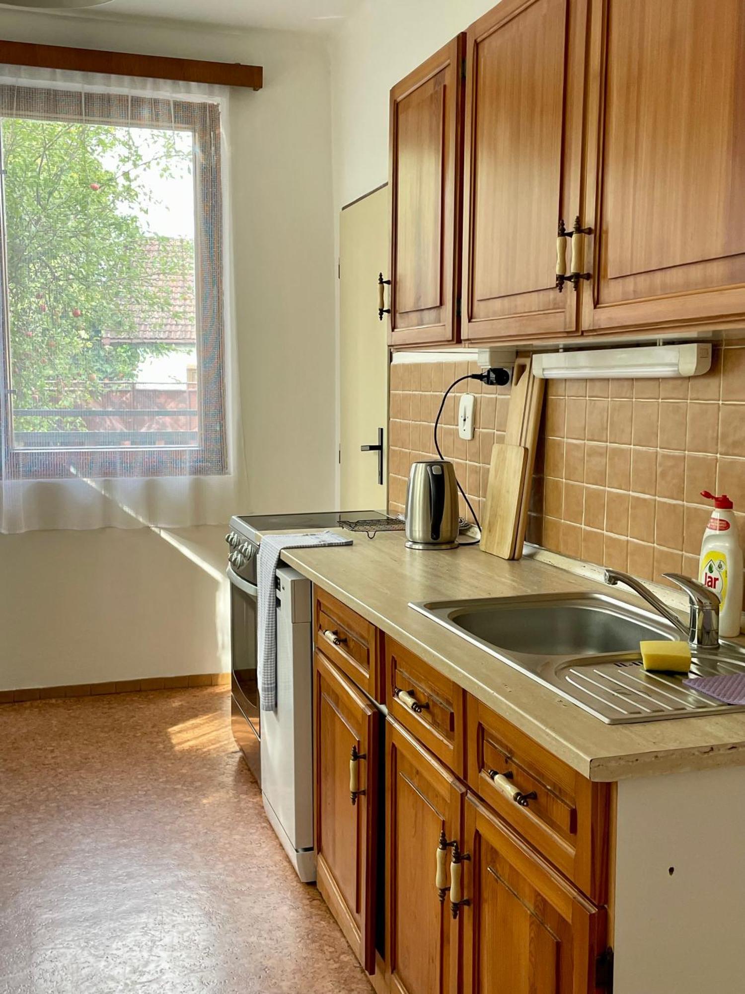 Apartment S Terasou Lysa ลิซา นาด ลาเบม ภายนอก รูปภาพ